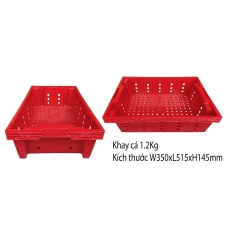 Khay cá đỏ 1.2kg