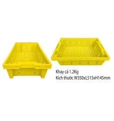 Khay cá vàng 1.2kg