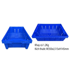 Khay cá xanh dương 1.2kg