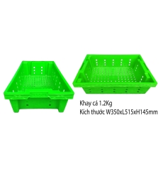 Khay cá xanh lá 1.2kg